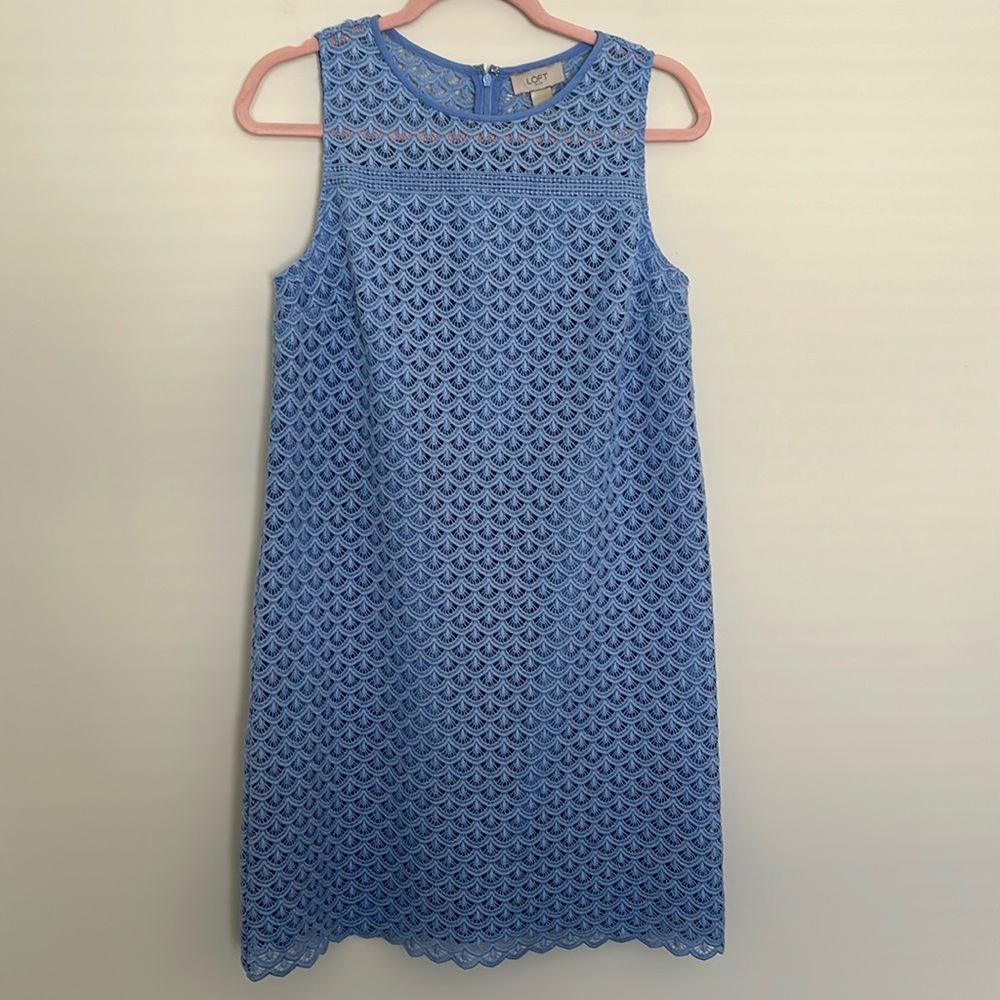 Loft Outlet‎ Light Blue Scalloped Lace Shift Dress - Size 6